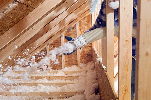 Trusted Odessa, MO Insulation Removal & Installation Experts